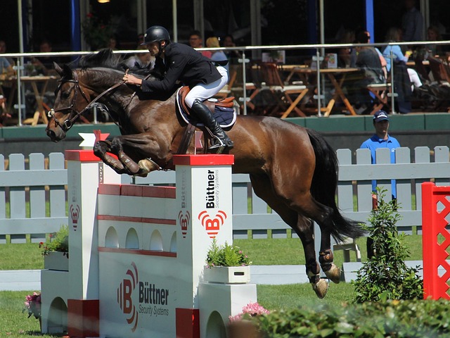 像欧文这样 像欧文这样