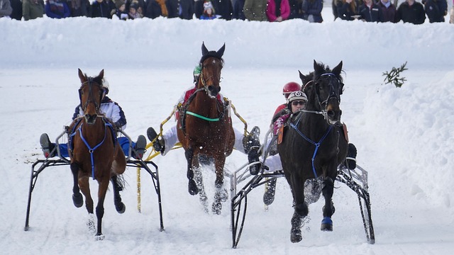 他因个人原 他因个人原