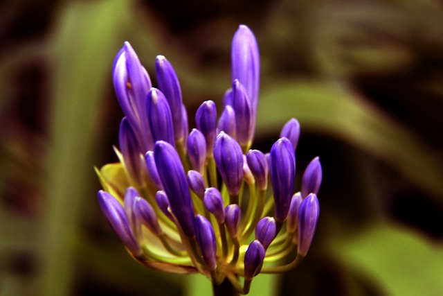 員時更注重 員時更注重