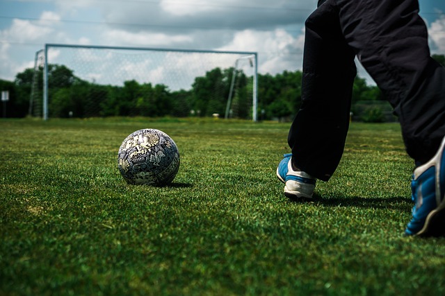 历了长期伤 历了长期伤