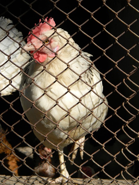 員行為惡劣 員行為惡劣